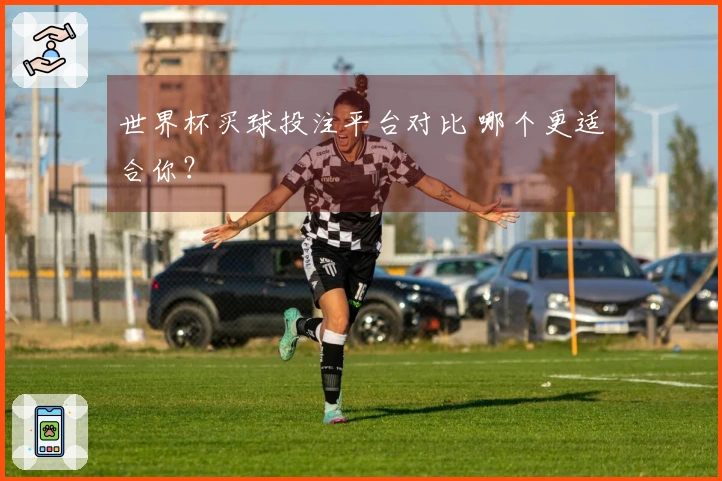 世界杯买球投注平台对比 哪个更适合你？