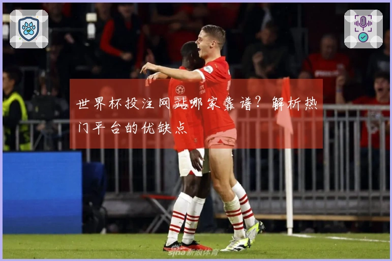 世界杯投注网站哪家靠谱？解析热门平台的优缺点