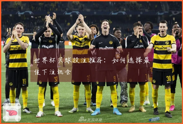 世界杯买球投注推荐：如何选择最佳下注机会