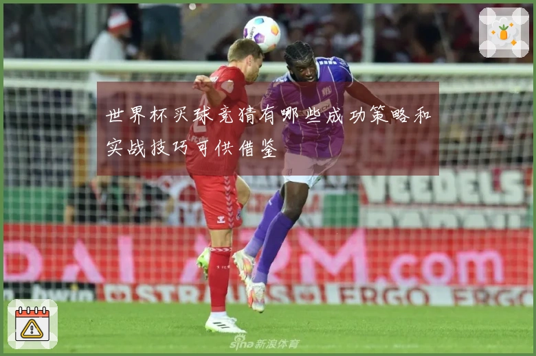 世界杯买球竞猜有哪些成功策略和实战技巧可供借鉴