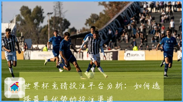 世界杯竞猜投注平台分析：如何选择最具优势的投注渠道
