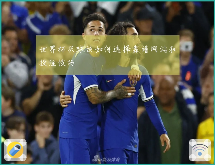 世界杯买球该如何选择靠谱网站和投注技巧