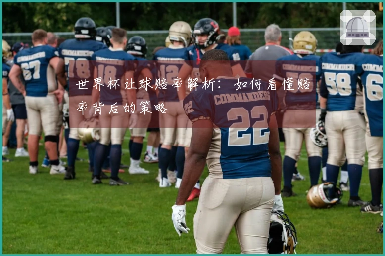世界杯让球赔率解析：如何看懂赔率背后的策略