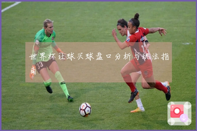 世界杯让球买球盘口分析与玩法指南