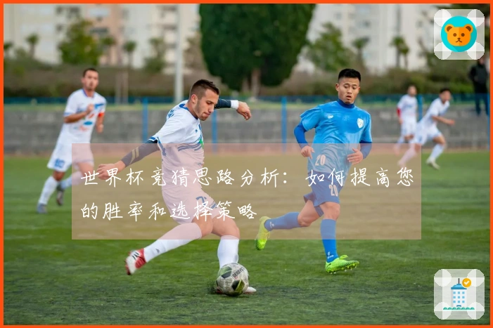 世界杯竞猜思路分析：如何提高您的胜率和选择策略