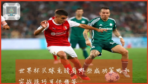 世界杯买球竞猜有哪些成功策略和实战技巧可供借鉴