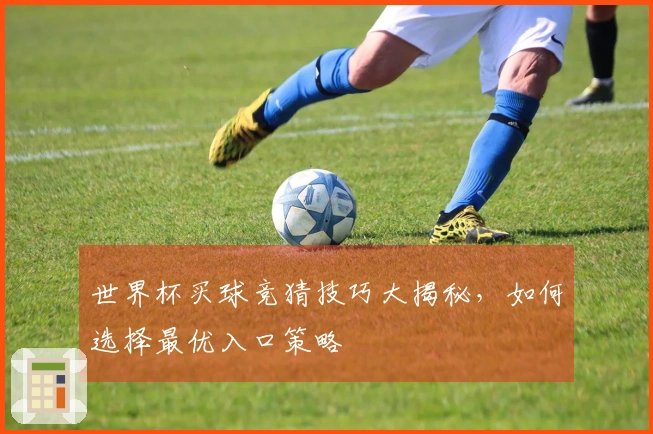 世界杯买球竞猜技巧大揭秘，如何选择最优入口策略