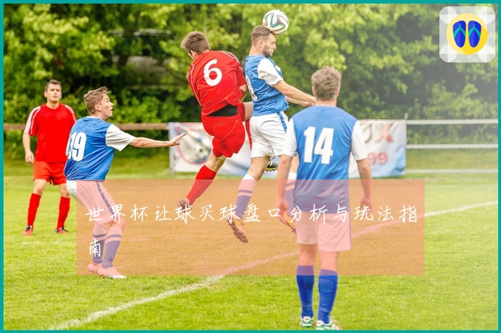 世界杯让球买球盘口分析与玩法指南