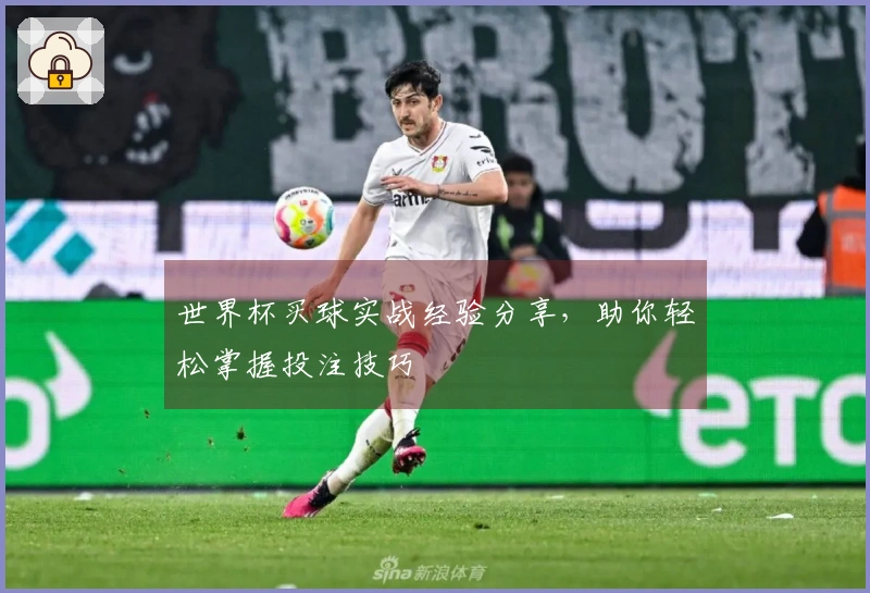 世界杯买球实战经验分享，助你轻松掌握投注技巧