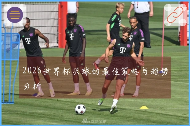 2026世界杯买球的最佳策略与趋势分析