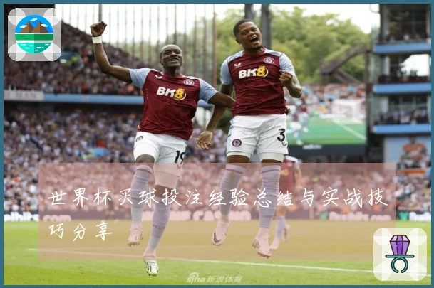 世界杯买球投注经验总结与实战技巧分享