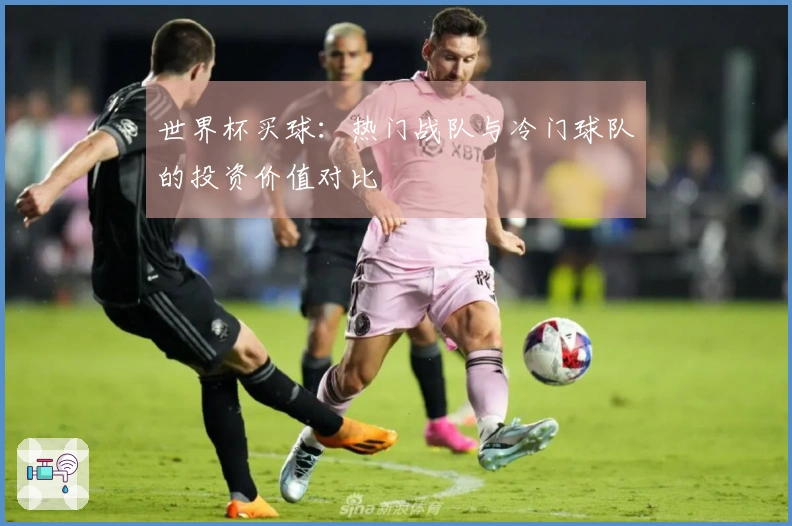 世界杯买球：热门战队与冷门球队的投资价值对比