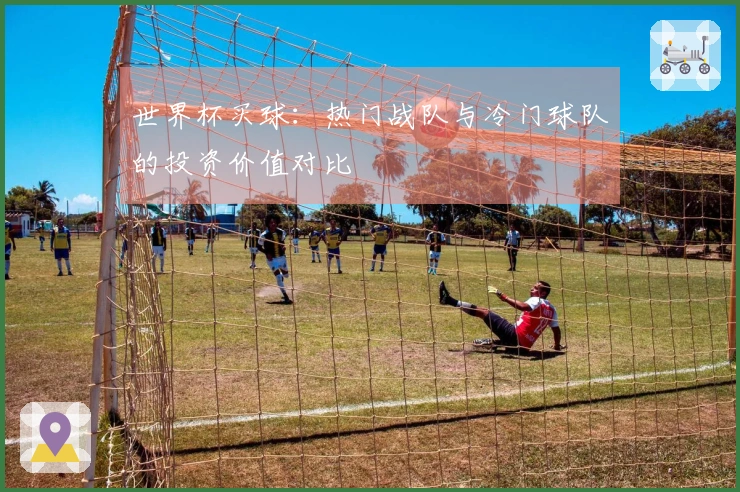 世界杯买球：热门战队与冷门球队的投资价值对比