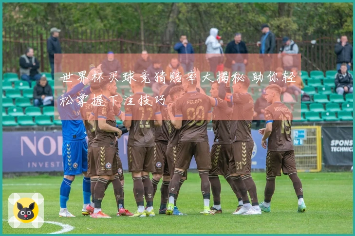 世界杯买球竞猜赔率大揭秘 助你轻松掌握下注技巧