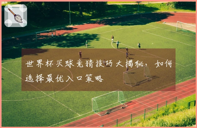 世界杯买球竞猜技巧大揭秘，如何选择最优入口策略